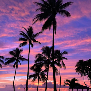 【免费伴奏】“恋如雨止 爱似放晴”Pop Guitar Type Beat