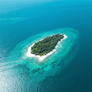 Lost Paradise