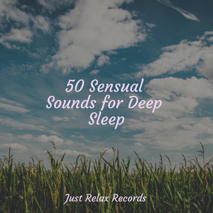 Soulful Solace Symphony