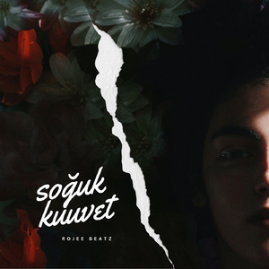 Soğuk Kuvvet
