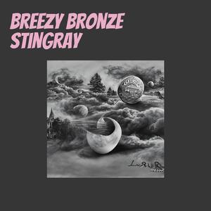 Brief Aquamarine Horse