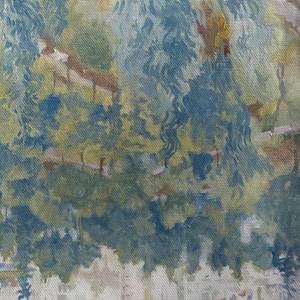 Branches (Eda) (Dear Gravity Rework)