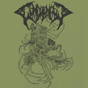 Molt