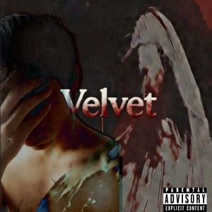 VELVET