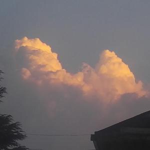 前行（纯音乐）