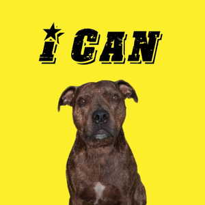 I Can
