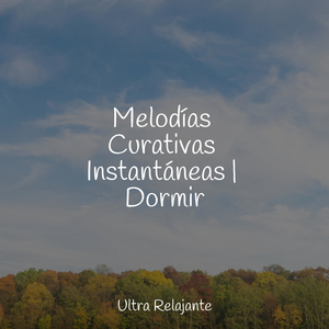 Perfección Después Del Anochecer