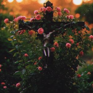 I'm building a time machine (Remastered)