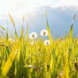 那个夏天你忘了吗