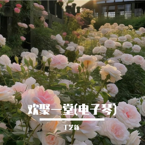 欢聚一堂 (电子琴)