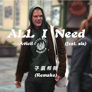 Avicii-All I Need（子祺粨特 remix）