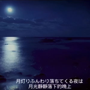 月灯りふんわり落ちてくる夜