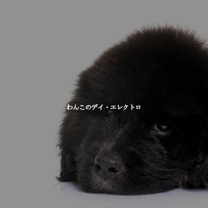 Artistic Ambiance for Aura Cafe