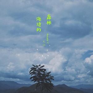 海边的森林