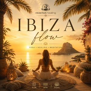 IBIZA flow
