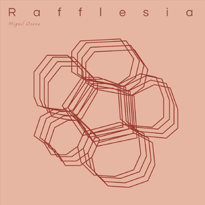 Rafflesia