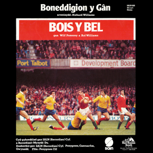 Come on Wales