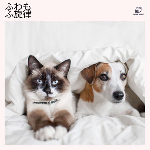 犬用ホワイトノイズ