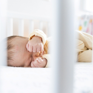 장주지몽(莊周之夢)