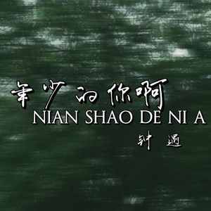 年少的你啊 (粤语版)