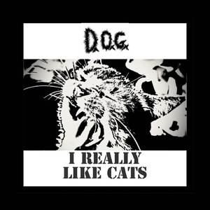 I Really Like Cats