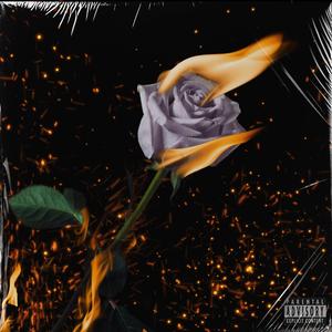 烧束玫瑰，至死不渝