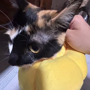 我们下辈子能否再相见