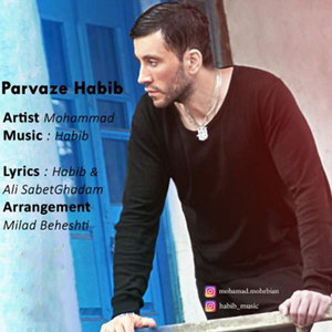 Parvaze Habib