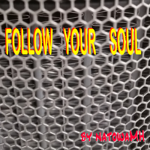 FOLLOW YOUR SOUL