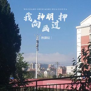 我向神明画过押