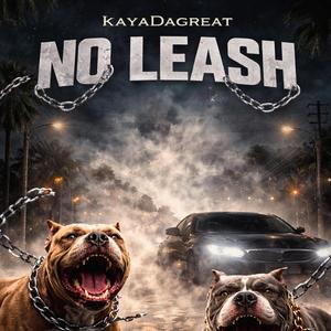 No Leash