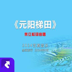 元阳梯田 (现场)