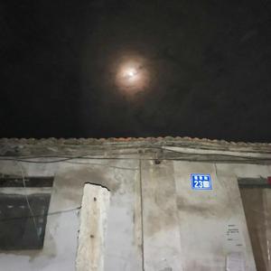 那丝也有春天翻唱