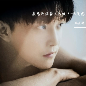 我想泡温泉_Dj_沈念