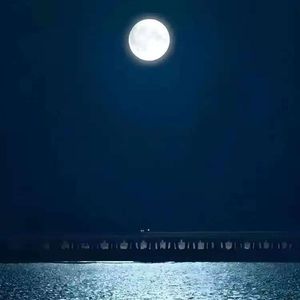 明月寄我情【國語】