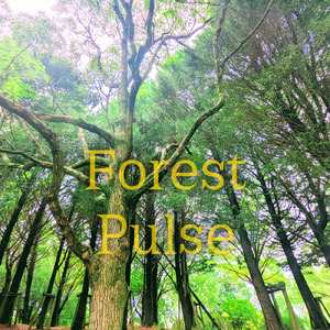森の鼓動