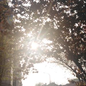 扬州四月天气晴