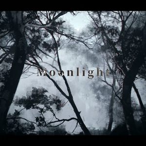 Moonlight