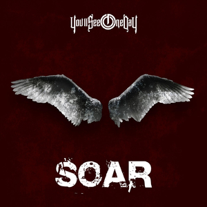 Soar