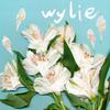 Wylie - Summer Heat