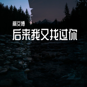 后来我又找过你