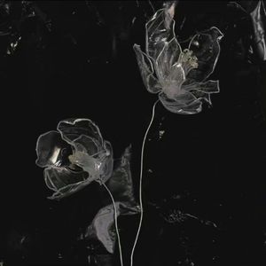 365（prod. YnJasper)