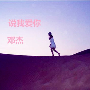 说我爱你