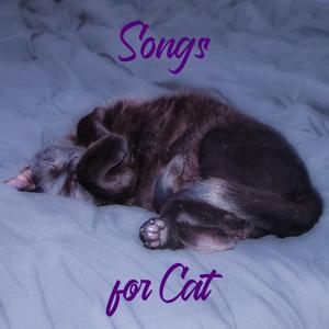 X-Ray Vision (feat. Vela De Vor)