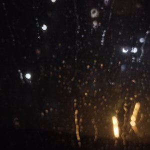 你的关心像特赦令