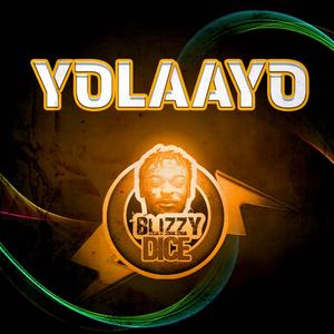 YOLAAYO
