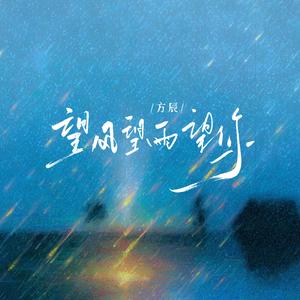 望风望雨望你