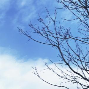 与你有关的旅行