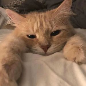 转换_1_新录音 5