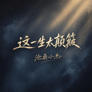 这一生太颠簸